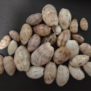 Gayle ha añadido una foto de su compra