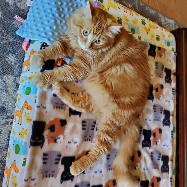 Mountain Paw Mosaic Quilted Blanket NCU0PTT2757