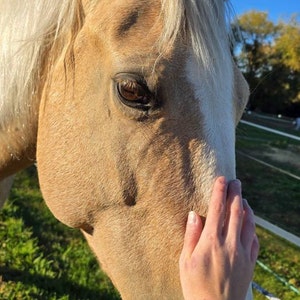 Comprador de Etsy ha añadido una foto de su compra