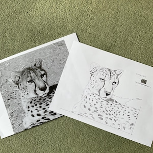 Sandie hat ein Foto des gekauften Artikels hinzugefügt