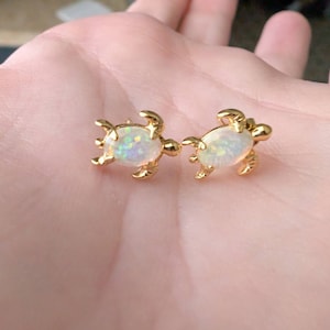 Haley added a photo of their purchase