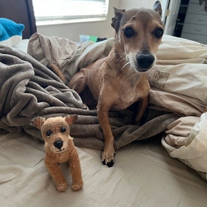 Cecilia added a photo of their purchase
