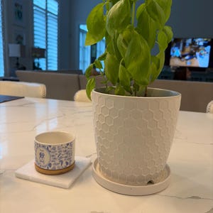 Anat added a photo of their purchase
