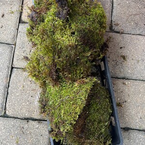 Lesti heeft een foto van zijn/haar aankoop toegevoegd