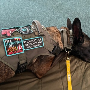 Tiffany heeft een foto van zijn/haar aankoop toegevoegd