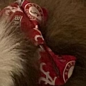 Juanita added a photo of their purchase