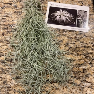 Rebecca heeft een foto van zijn/haar aankoop toegevoegd