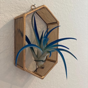 Laura added a photo of their purchase