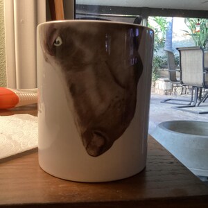 Mary added a photo of their purchase