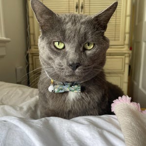 Samantha added a photo of their purchase