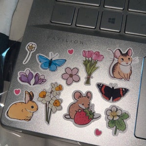 Elise added a photo of their purchase