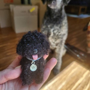 Caitlin added a photo of their purchase