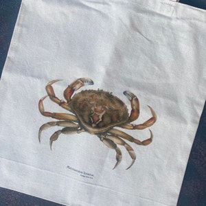 Liam added a photo of their purchase