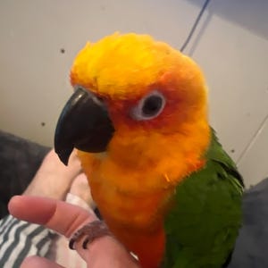 Brandi added a photo of their purchase