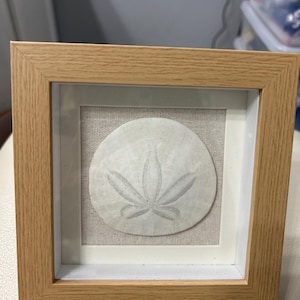 Charlotte added a photo of their purchase