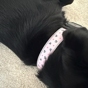 Mel a ajouté une photo de son achat