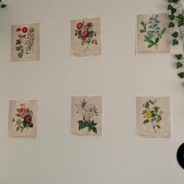 Vintage Roses Wall Art Prints (set of 6) - 8x10s | Botanical Decor - Etsy