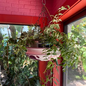 Valerie added a photo of their purchase