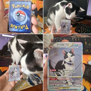 Mitchell hat ein Foto des gekauften Artikels hinzugefügt
