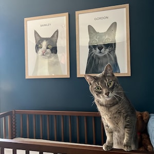 Emily added a photo of their purchase