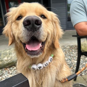 Corinne heeft een foto van zijn/haar aankoop toegevoegd