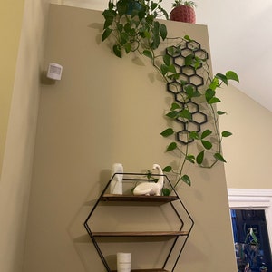 Michelle added a photo of their purchase