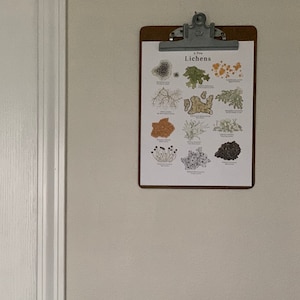 Gina added a photo of their purchase