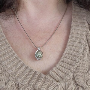 Nancy added a photo of their purchase