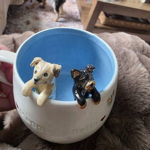 Ana added a photo of their purchase