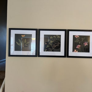 Jessica added a photo of their purchase