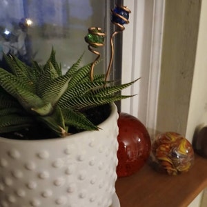 Kathleen added a photo of their purchase