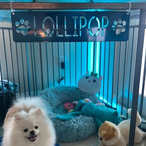 Vicki added a photo of their purchase