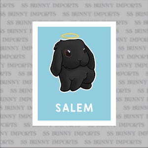 Single Bunny Print - Existing Rabbit Breed and Color - Custom ...