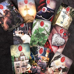 Finja a ajouté une photo de son achat