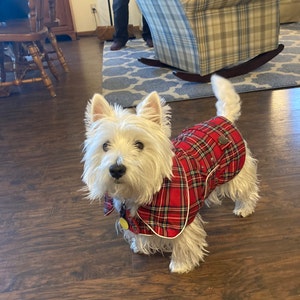 Tartan dog sales coats for westies