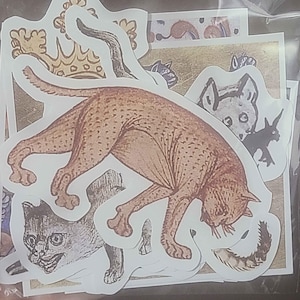 BaneShea adicionaram uma foto da sua compra