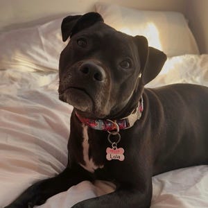 Maddie ha añadido una foto de su compra