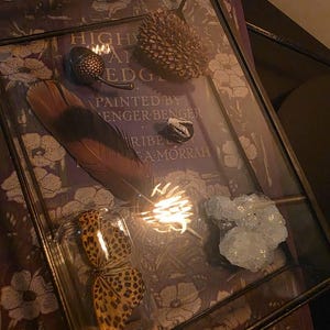Hayley added a photo of their purchase