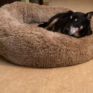 Debbie added a photo of their purchase