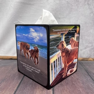 William added a photo of their purchase