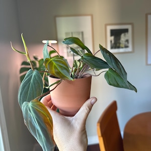 Shawn added a photo of their purchase