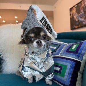 Allison dodał(a) zdjęcie swoich zakupów