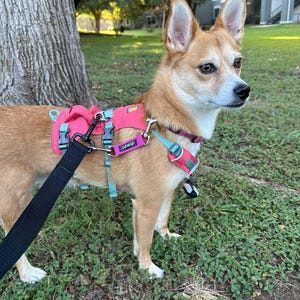 Cecilia added a photo of their purchase