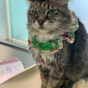 Karin added a photo of their purchase