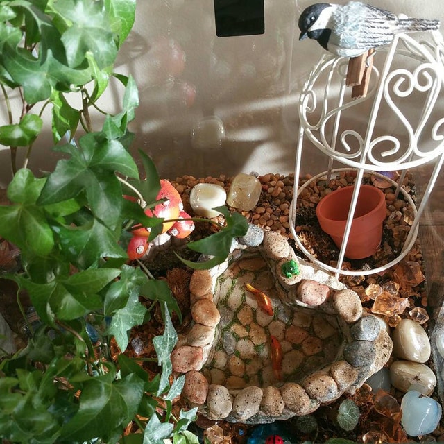 Fairy Garden Koi Pond Miniature With Artificial Water Terrarium
