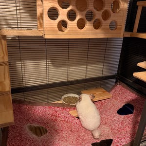 Janassi added a photo of their purchase