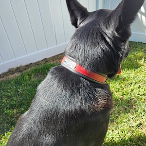 Holly hat ein Foto des gekauften Artikels hinzugefügt