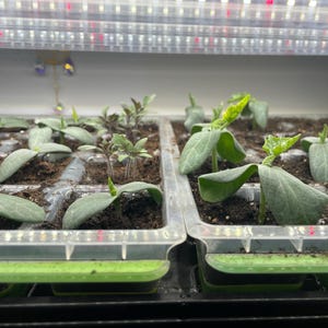 Jessica added a photo of their purchase