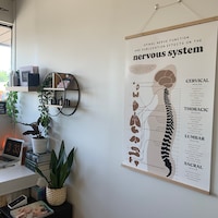 Chiropractic ANS Chart + Nervous System Poster | Subluxation Effects ...