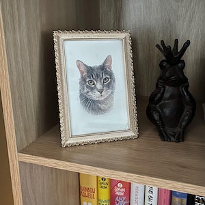 Rachel added a photo of their purchase